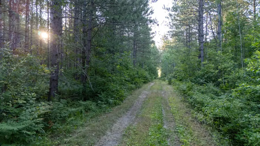 NESW Forest Road 3845 Ne, Pennington, MN 56663 - #2