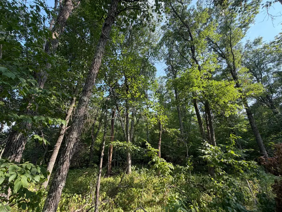 TBD Pawnee Circle, Breezy Point, MN 56472 - #2