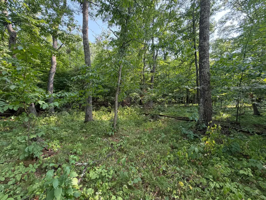 TBD Pawnee Circle, Breezy Point, MN 56472 - #3