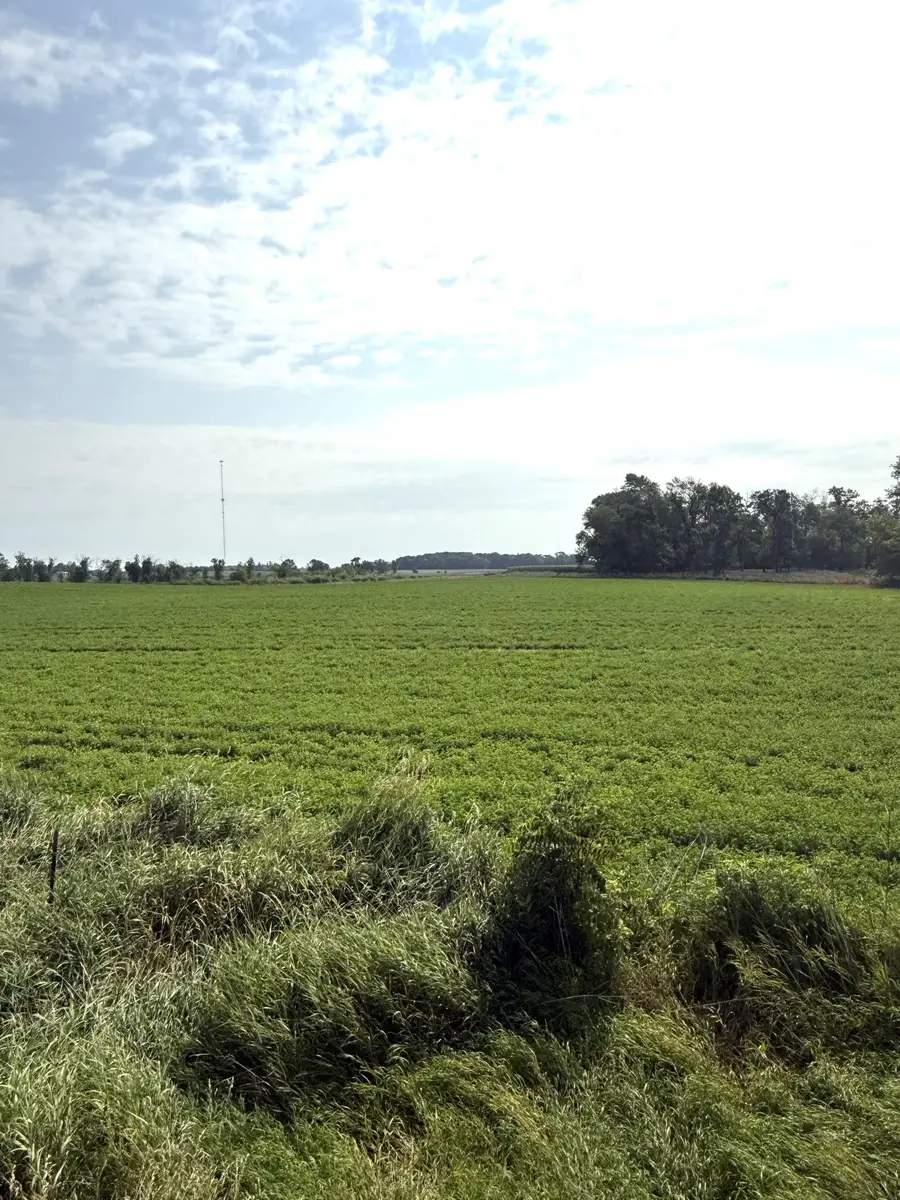 TBD County Road 7, Howard Lake, MN 55349 - #2
