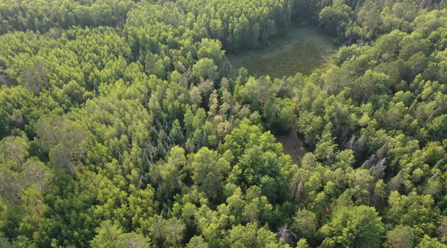 XX County Rd 1, Emily, MN 56447 - #3