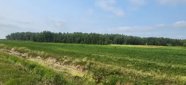 TBD 340th Avenue Ne, Goodridge, MN 56725