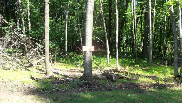 Lot 2 Howard Johnson Trl, Siren, WI 54872