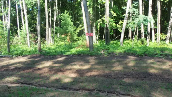 Lot 4 Howard Johnson Trl, Siren, WI 54872