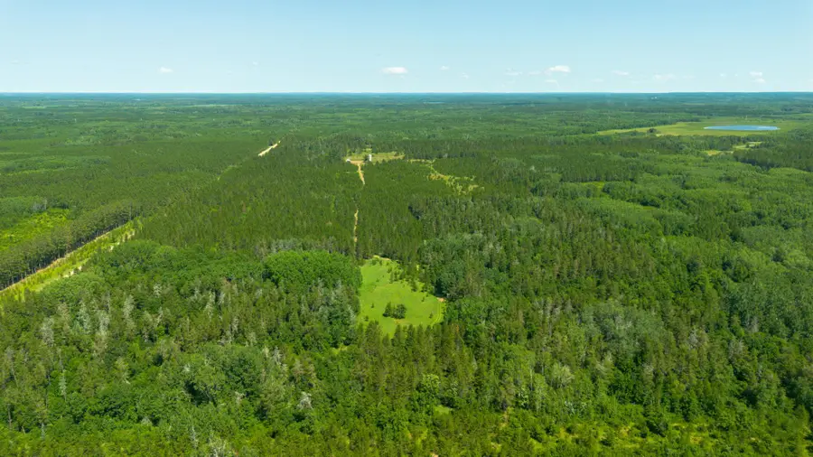 Tract 3 - TBD 259th Ave, Menahga, MN 56464 - #2