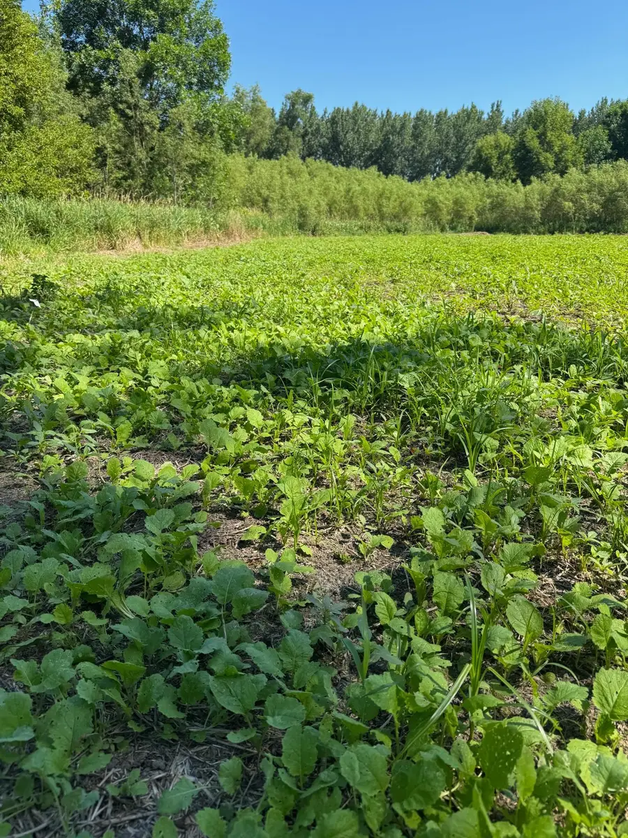 TBD Us Hwy 169, Le Sueur, MN 56058 - #3