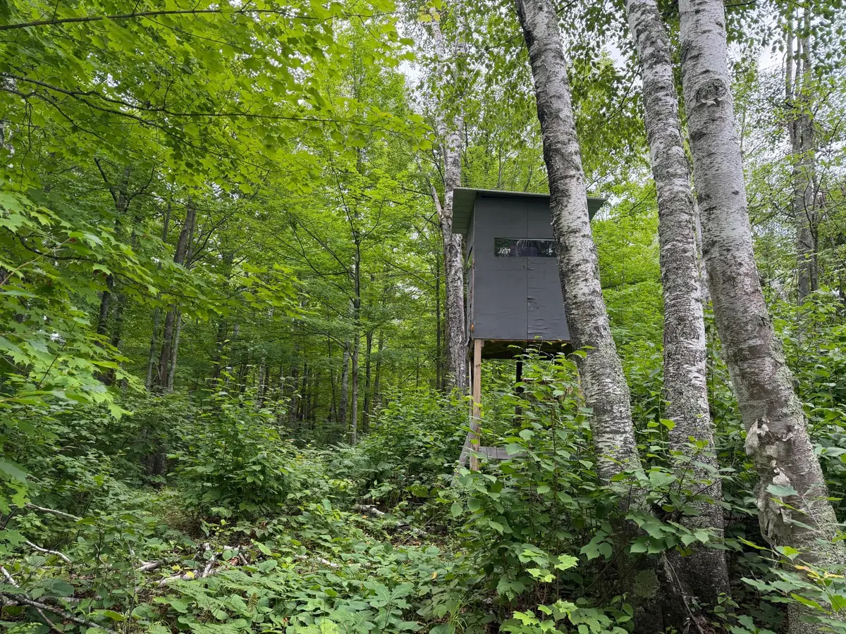 TBD Shady Pine Road, Bruno, MN 55712 - #1