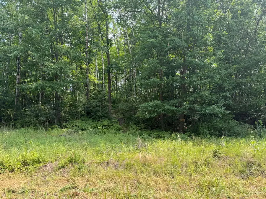 TBD Shady Pine Road, Bruno, MN 55712 - #3