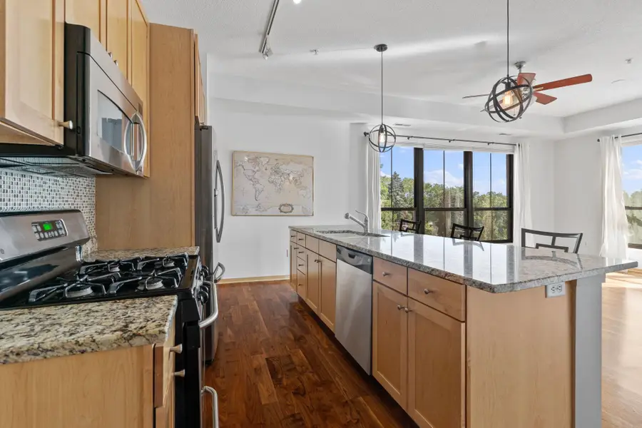4525 Park Commons Drive #201, Minneapolis, MN 55416 - #3