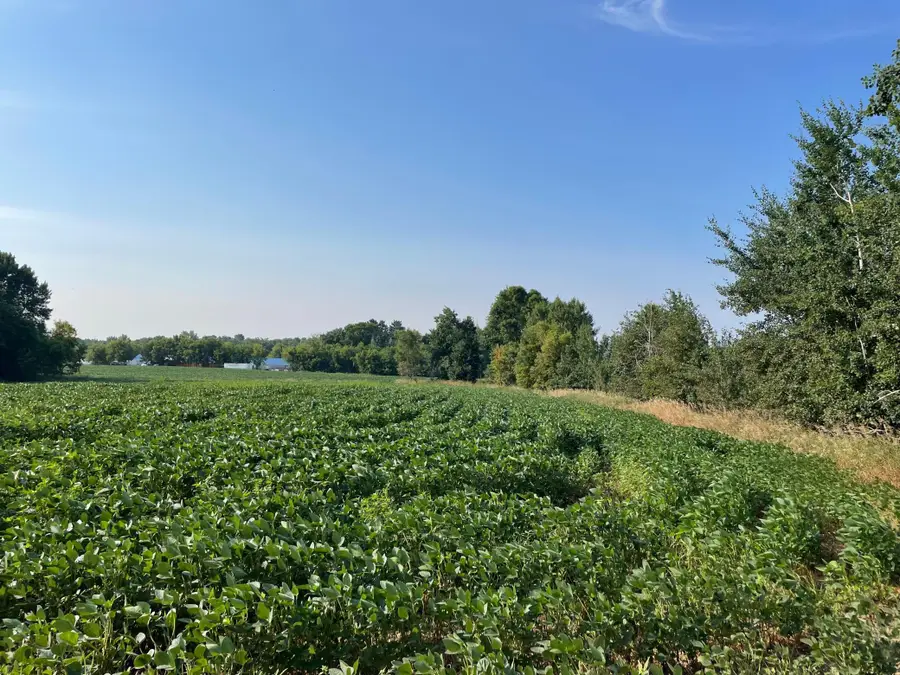 XXX 130th Avenue, Milaca, MN 56353 - #2