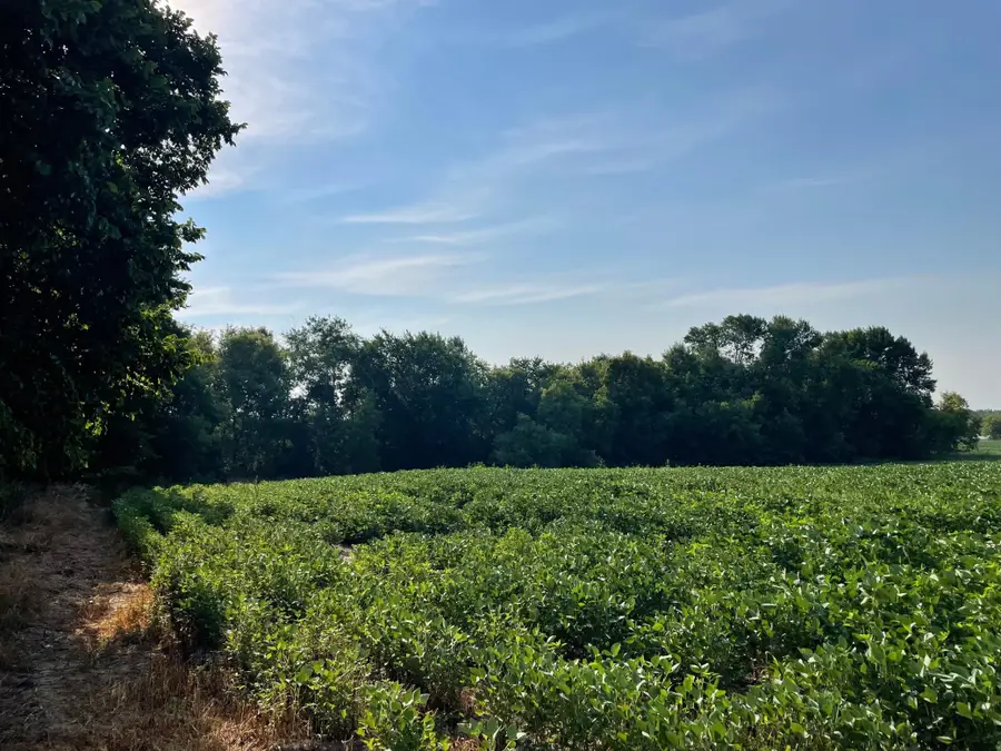 XXX 130th Avenue, Milaca, MN 56353 - #3