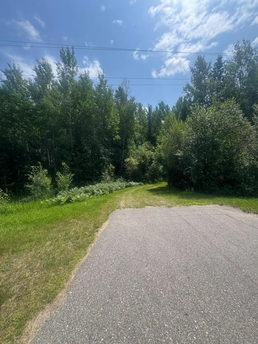 TBD1.2 Orr Buyck Road Road, Buyck, MN 55771 - #3