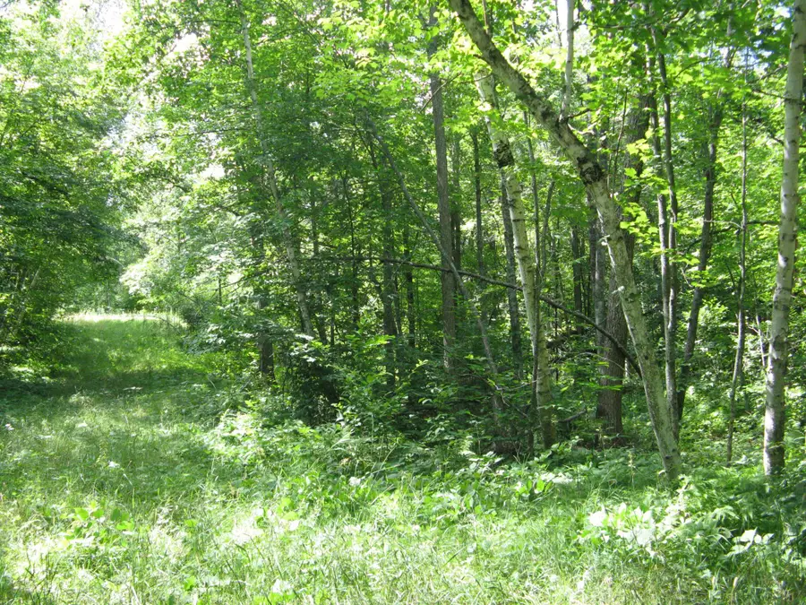 TBD Alpine Circle, Breezy Point, MN 56472 - #2