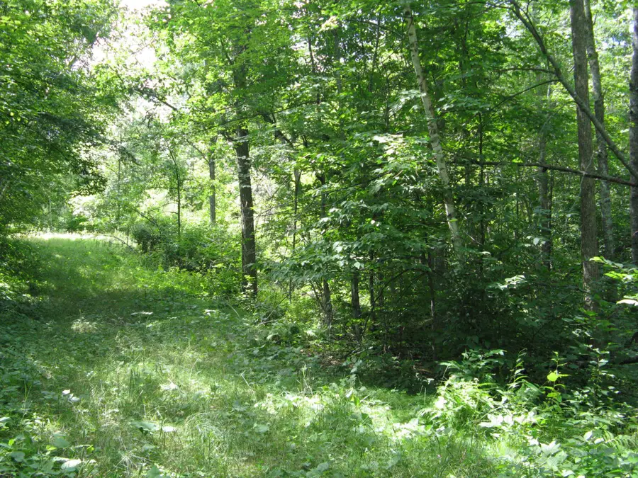 TBD Alpine Circle, Breezy Point, MN 56472 - #3
