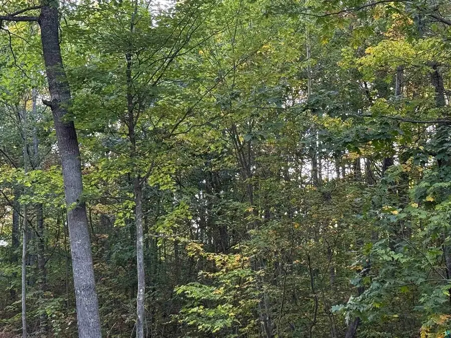 000 Hwy 2, Iron River, WI 54847 - #3