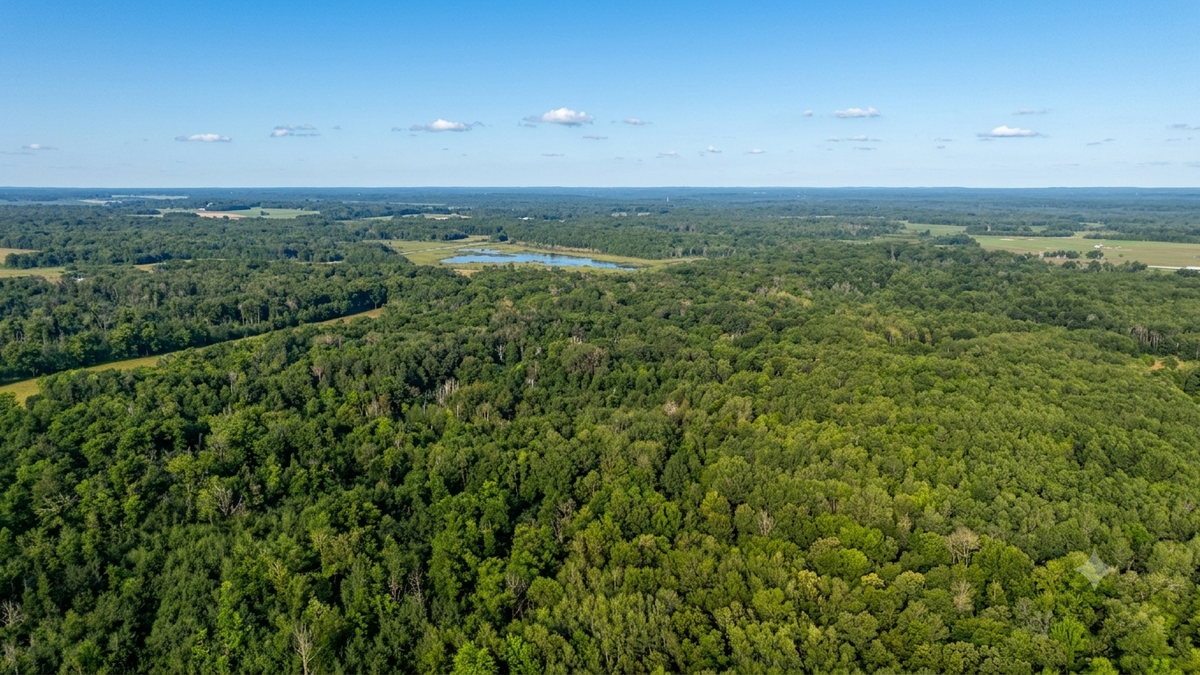 TBD Skyview Street, Brook Park, MN 55007 - #1