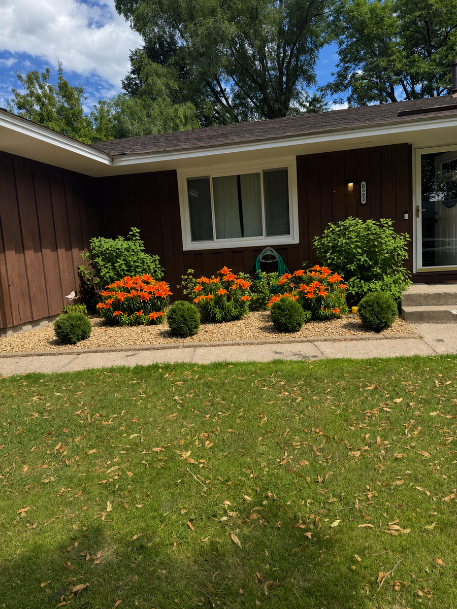 8383 Henna Avenue S, Cottage Grove, MN 55016 - #3