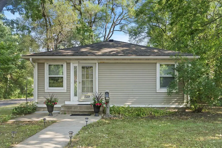 529 Fremont Street, Anoka, MN 55303 - #2