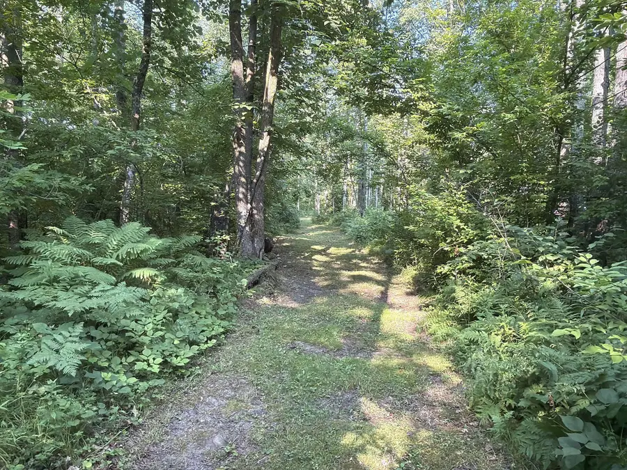 W9527 Mile Road, Ladysmith, WI 54848 - #2