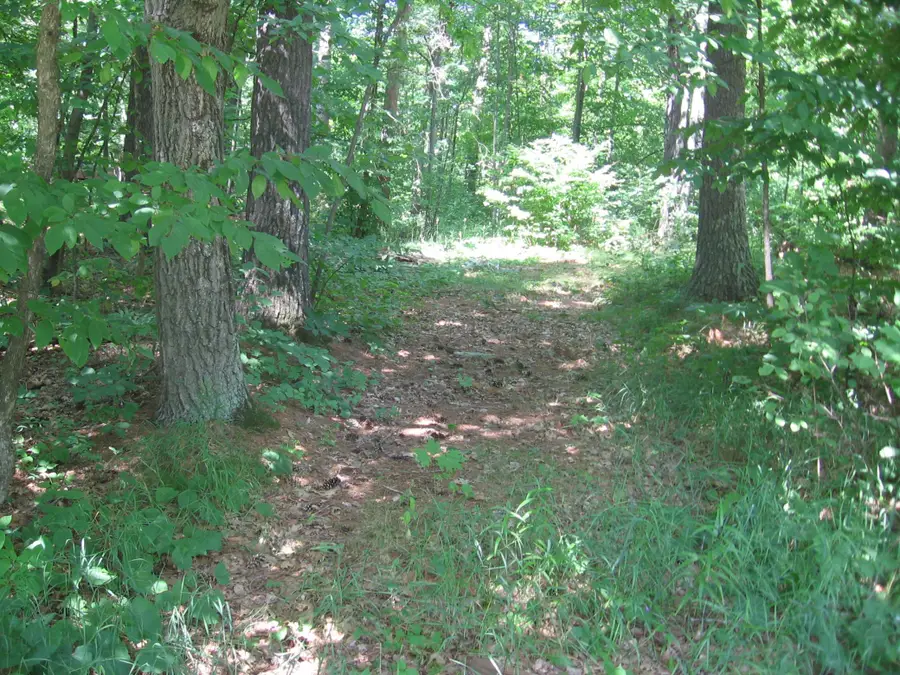 TBD County 5 Nw, Hackensack, MN 56452 - #2