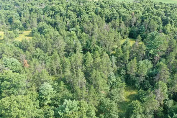 S13160 Camp Road, Fairchild, WI 54741