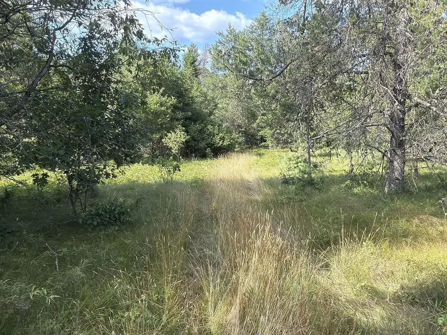 S13160 Camp Road, Fairchild, WI 54741 - #3