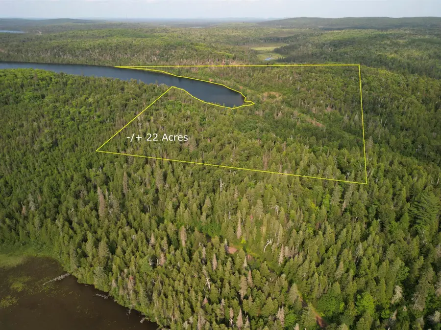 9041 Cramer Road, Finland, MN 55603 - #3