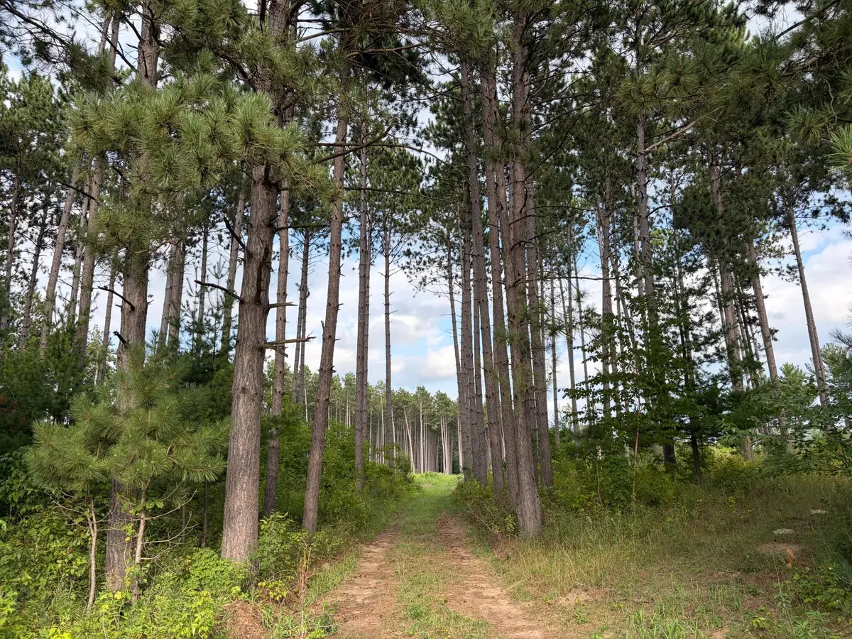 (Lot 4) TBD Tulip Street Nw, Stanchfield, MN 55080 - #1