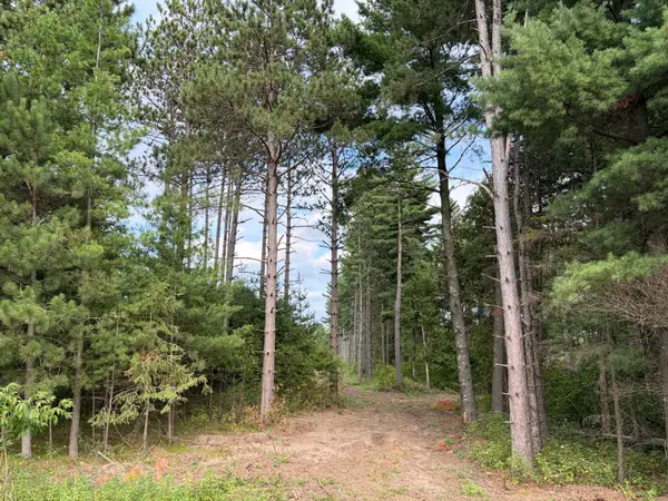 (Lot 5) TBD Tulip Street Nw, Stanchfield, MN 55080