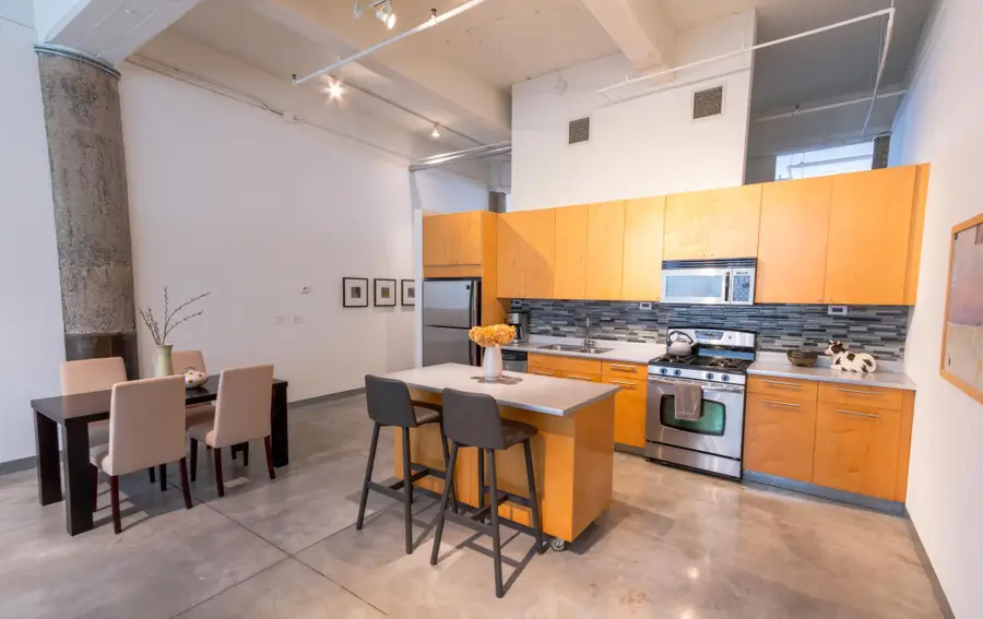 700 Washington Avenue N #507, Minneapolis, MN 55401 - #3