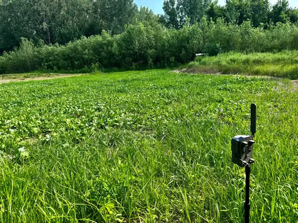 TBD Grove Street, Le Sueur, MN 56058