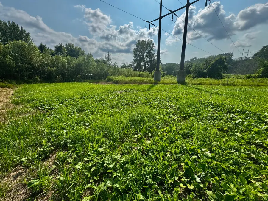 TBD Grove Street, Le Sueur, MN 56058 - #2