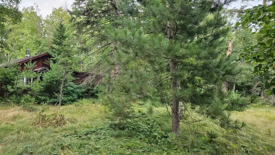 7712 County Road 13, Nisswa, MN 56468 - #3