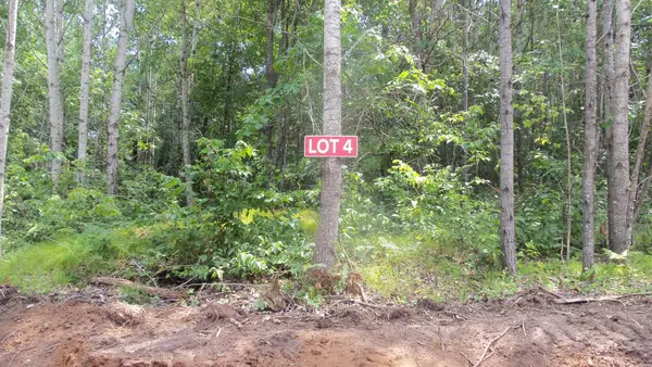 Lot 4 Birch Tree Trl, Spooner, WI 54801