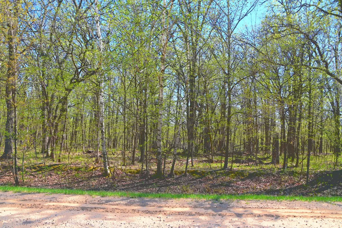 TBD 392 Street, Fawn Lake, MN 56438 - #1