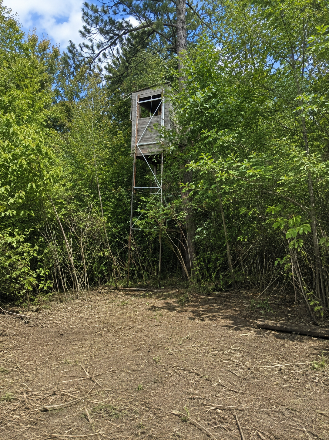 TBD Chimney Road, Nevis, MN 56467 - #1