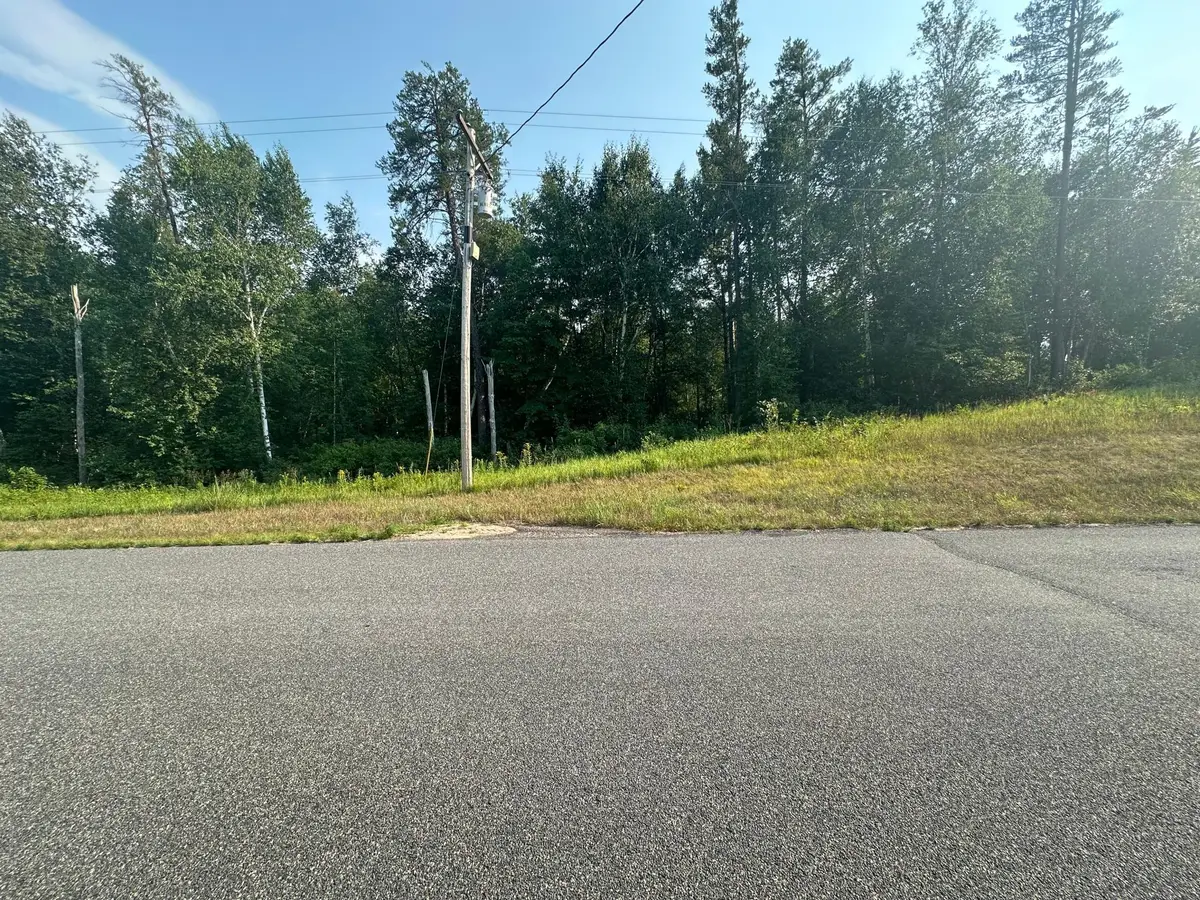TBD Ski Chalet Dr, Breezy Point, MN 56472 - #1