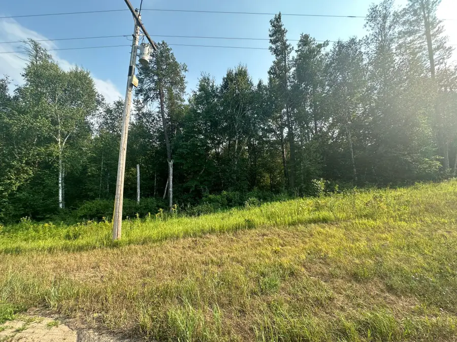 TBD Ski Chalet Dr, Breezy Point, MN 56472 - #2