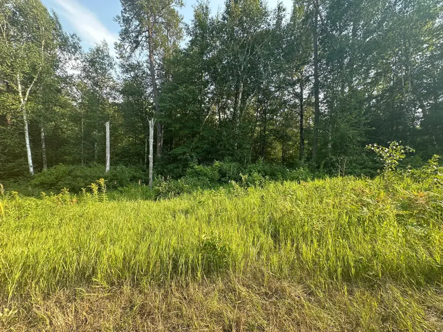TBD Ski Chalet Dr, Breezy Point, MN 56472 - #3