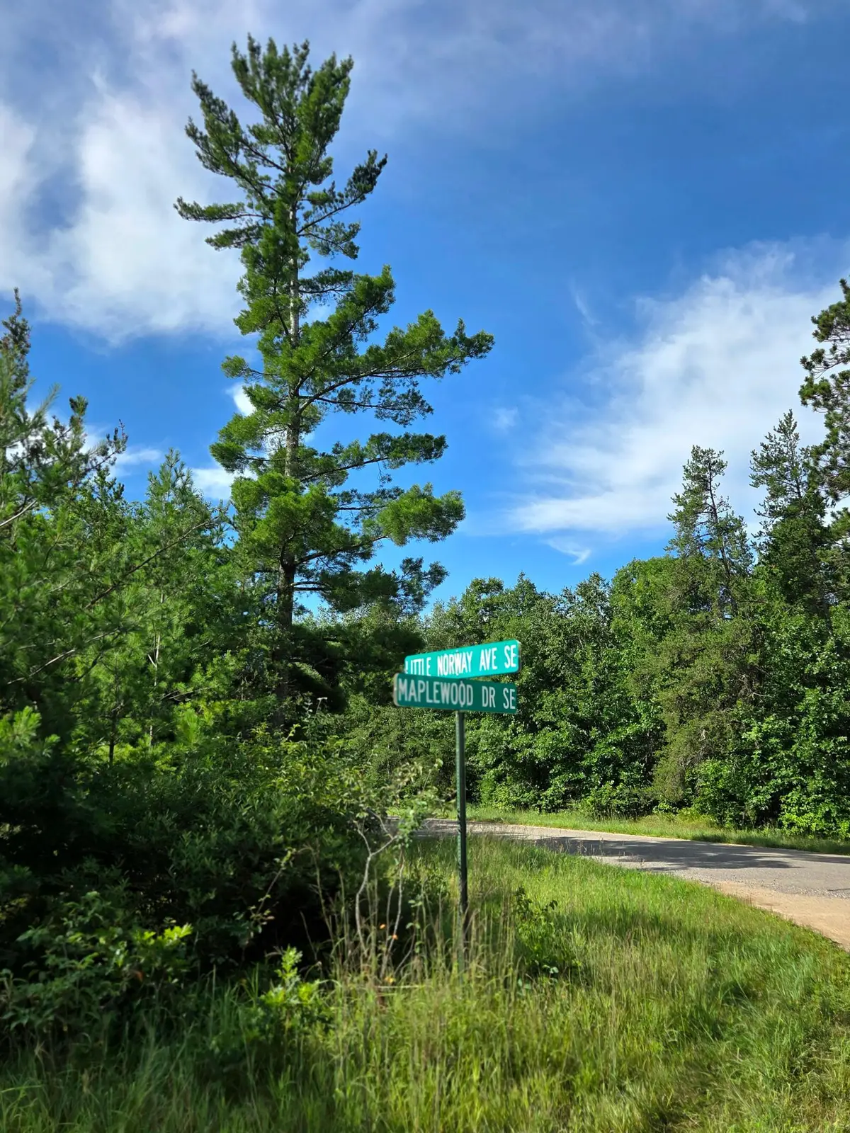 TBD Tbd, Bemidji, MN 56601 - #1