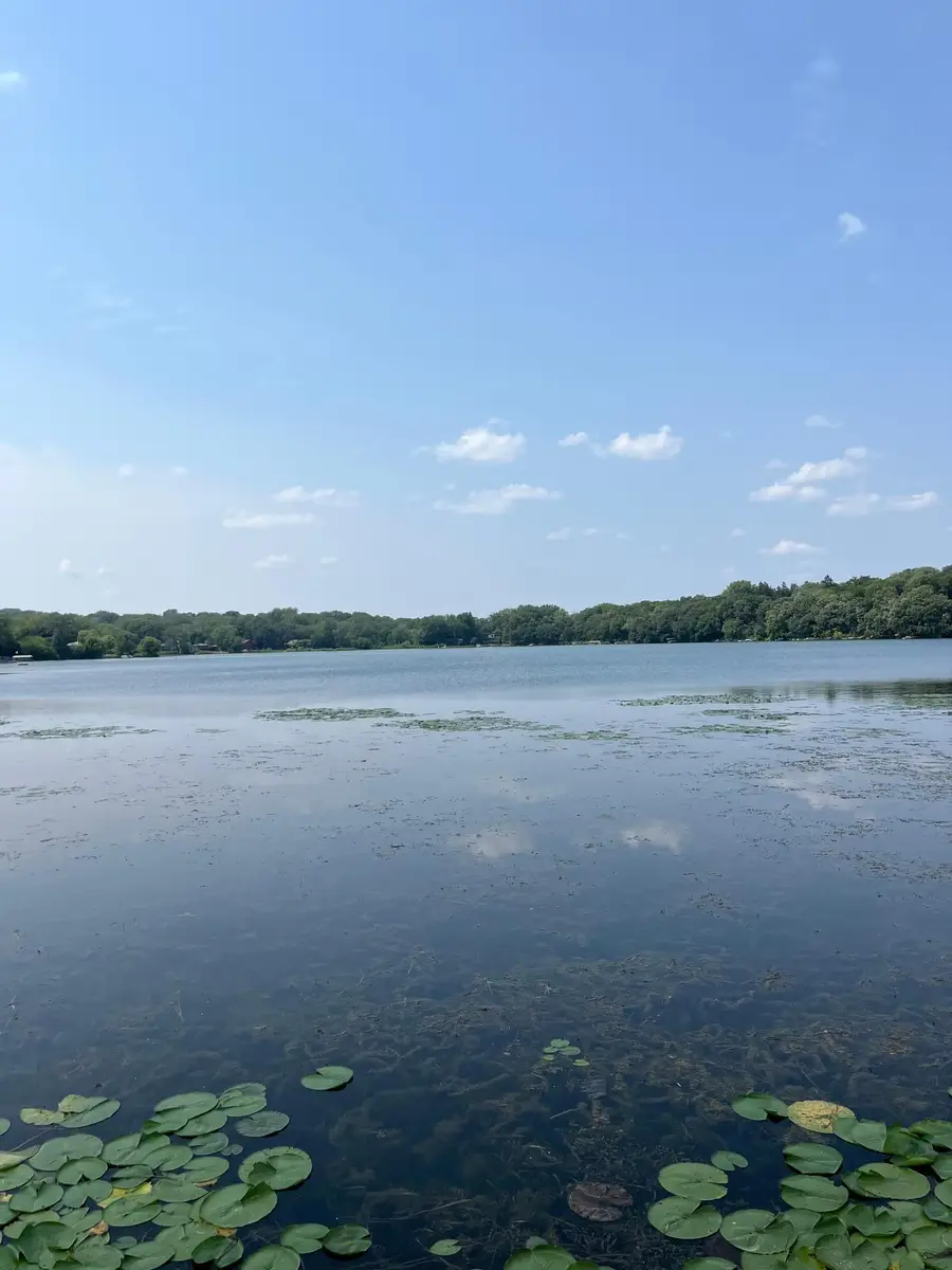 205 Mccarrons Place, Roseville, MN 55113 - #3