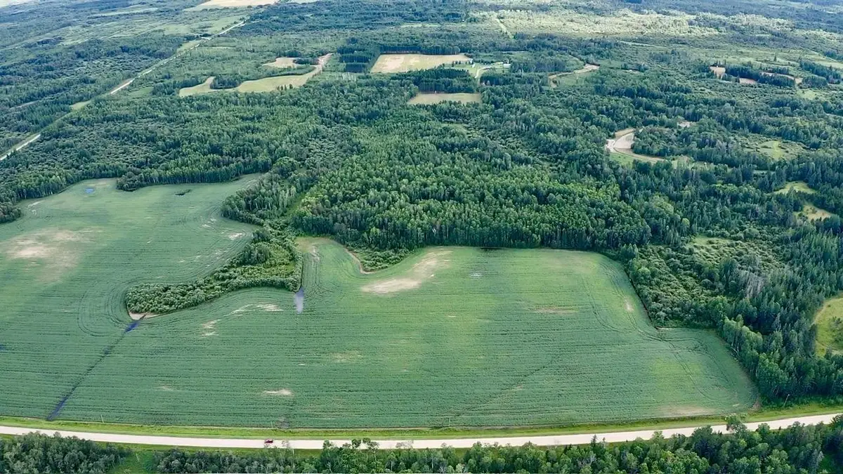 _ County Road 19, Roseau, MN 56751 - #1