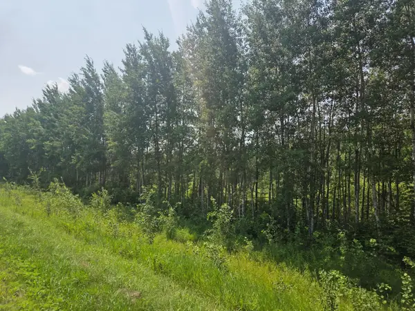 County  Road 53 E County Road 53, Mizpah, MN 56660