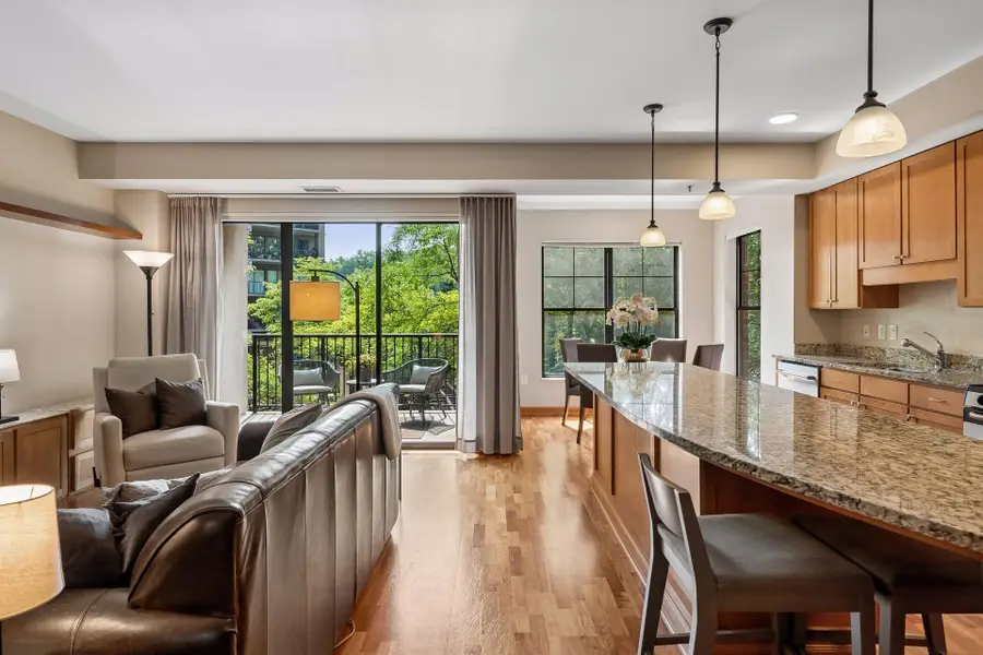317 Groveland Avenue #213, Minneapolis, MN 55403 - #2
