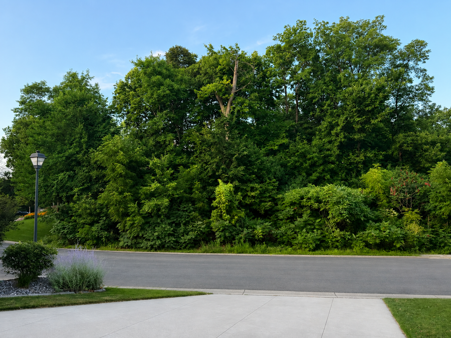 13213 Pennsylvania Avenue, Savage, MN 55378 - #2