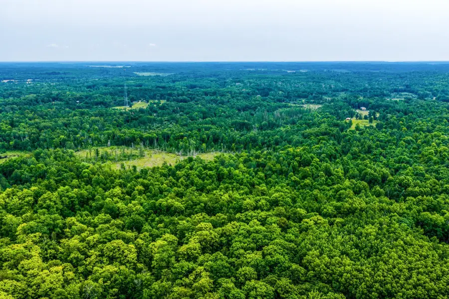 TBD Scenic Highway, Brook Lake, MN 56633 - #2