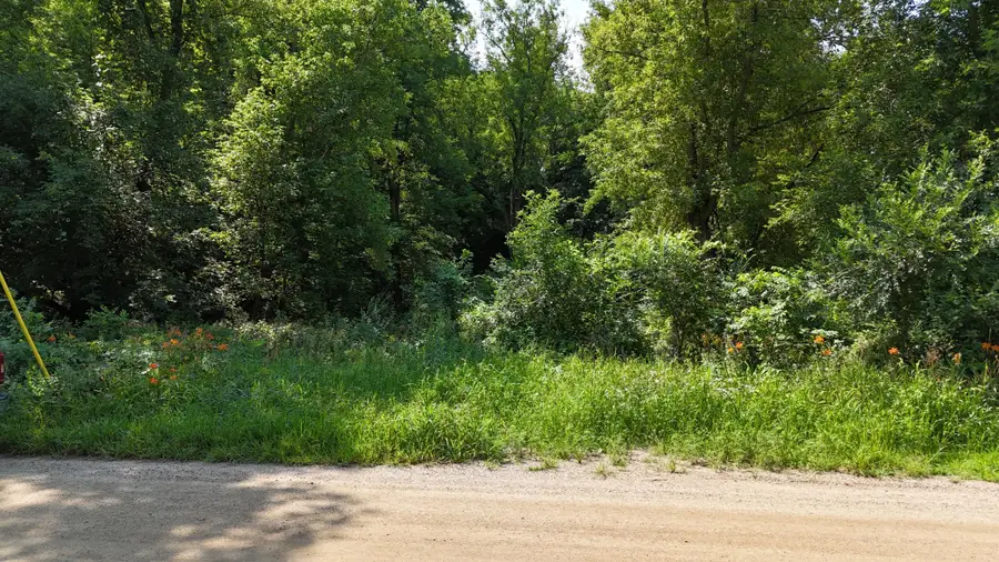 16XXX 107th Street Nw, South Haven, MN 55382 - #2
