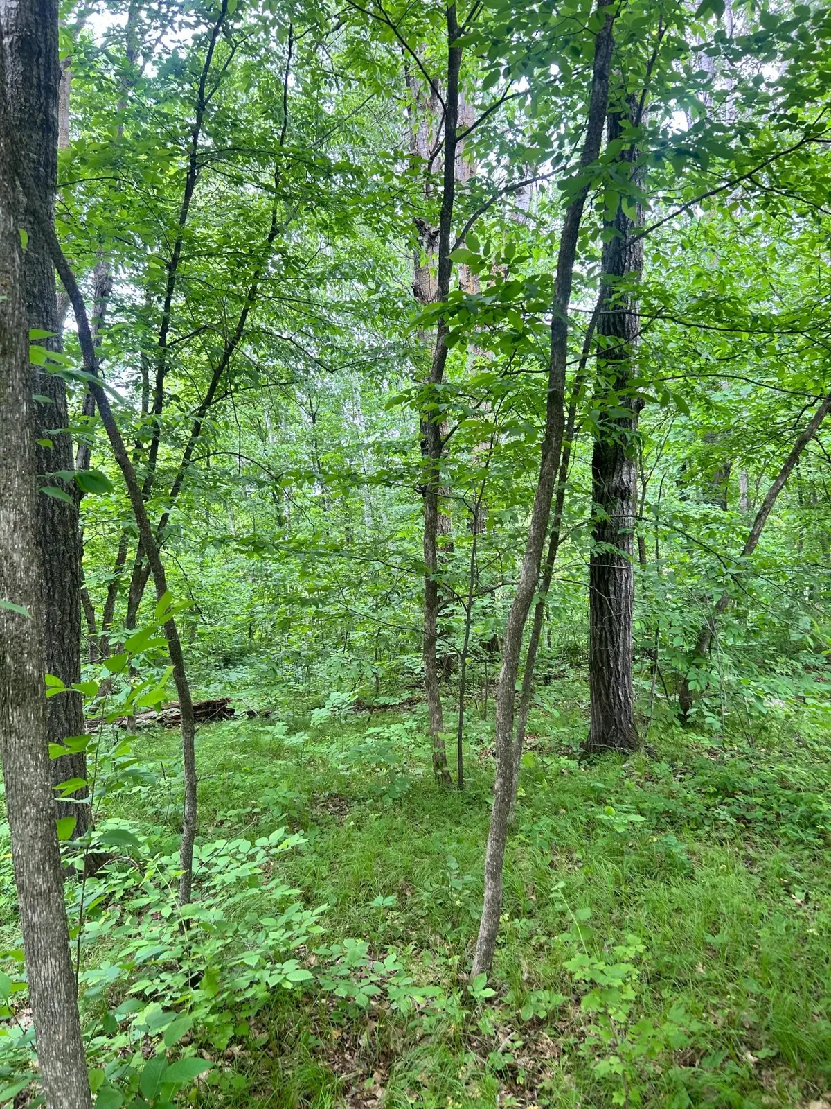 TBDxxx Flintstone Road, Cushing, MN 56443 - #1