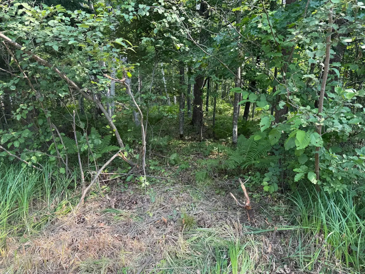 TBD Woodstock Road, Sturgeon Lake, MN 55783 - #1