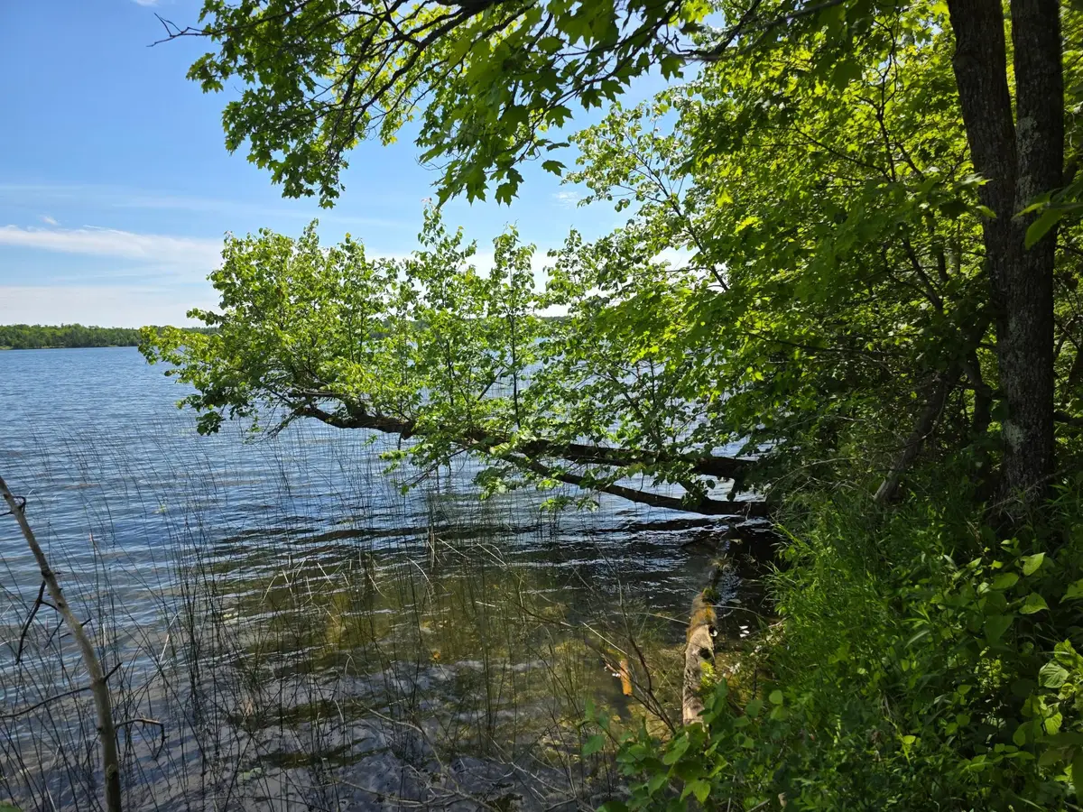TBD N Moose Lake Road Ne, Pennington, MN 56663 - #1
